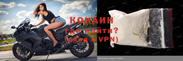сатива Осинники