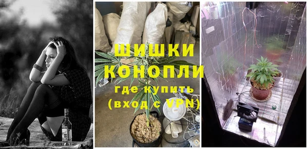 сатива Осинники