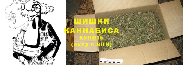 сатива Осинники