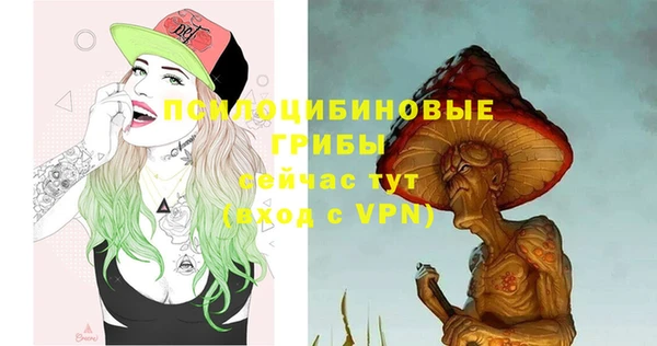 сатива Осинники