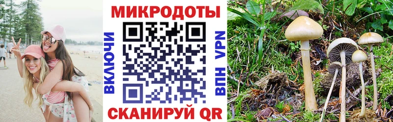 Галлюциногенные грибы MAGIC MUSHROOMS  Южно-Сухокумск 